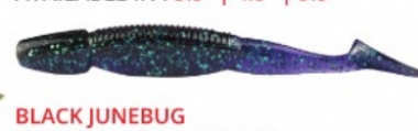 BLACK JUNBUG